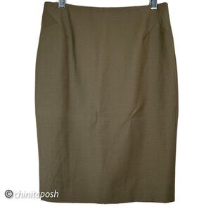 Ann Taylor Skirt